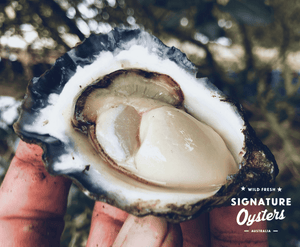 
                  
                    Load image into Gallery viewer, SIGNATURE OYSTER CLUB - Large Sydney Rocks
                  
                