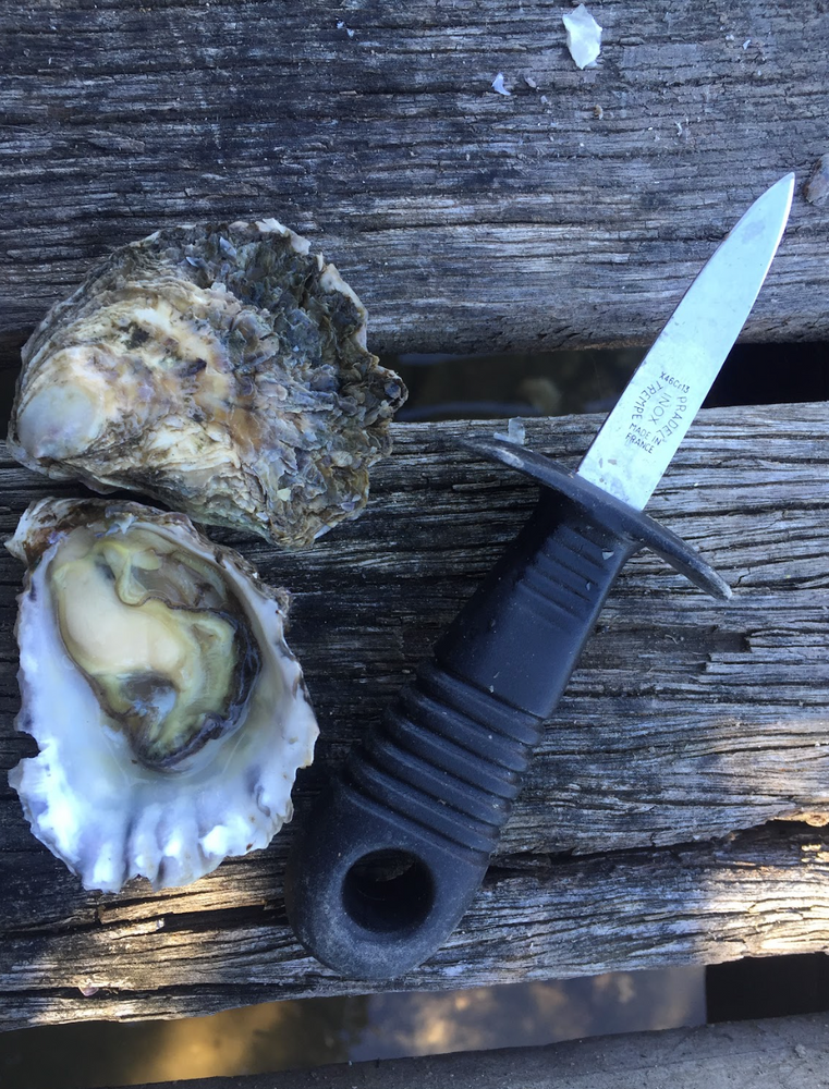 Oyster Knife