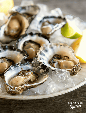 
                  
                    Load image into Gallery viewer, SIGNATURE OYSTER CLUB - Medium Sydney Rocks
                  
                